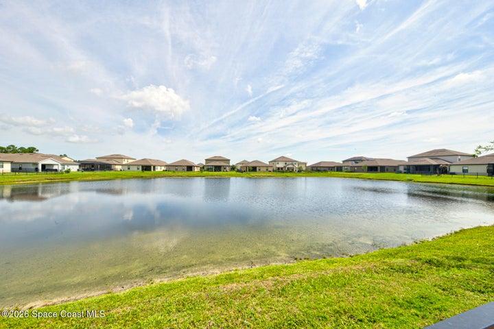 backyard on lake