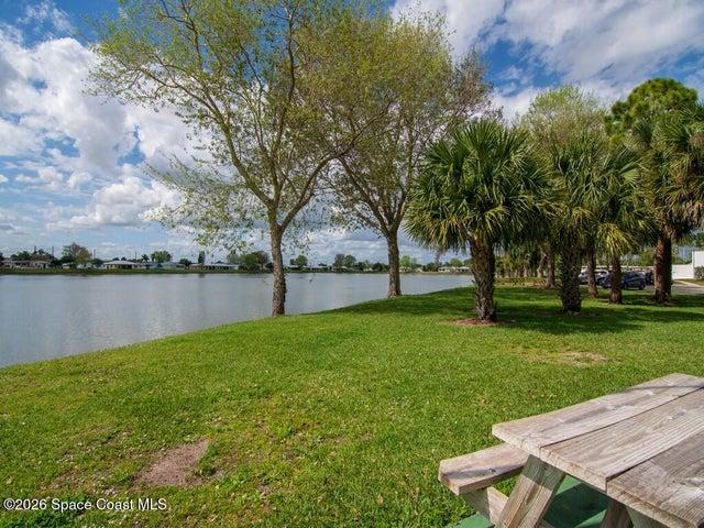 Expansive green space featuring multiple palm trees, horseshoe pits, and wooden benches