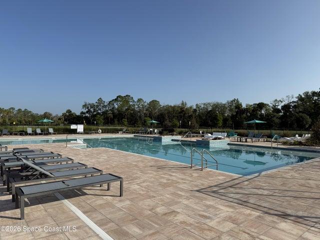 Lounge by the Pool
