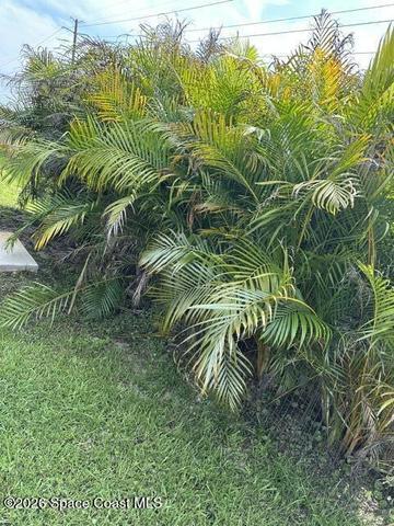 1401 Mcfarland Drive, Melbourne, FL, 32904 photo 28