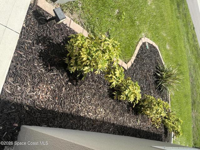 Front landscaping