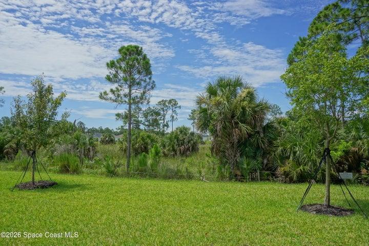 1916 Cerulean Drive NW, Palm Bay, FL, 32907 photo 19