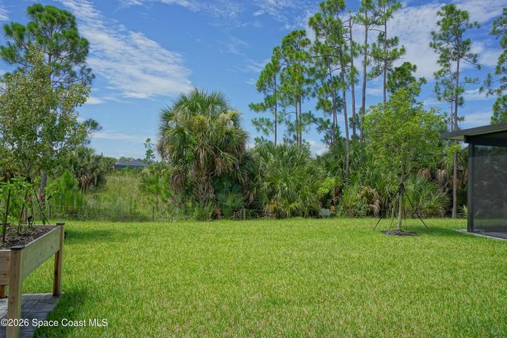 1916 Cerulean Drive NW, Palm Bay, FL, 32907 photo 18