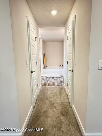 147 SW Whirl Street SW, Palm Bay, FL, 32908 photo 50