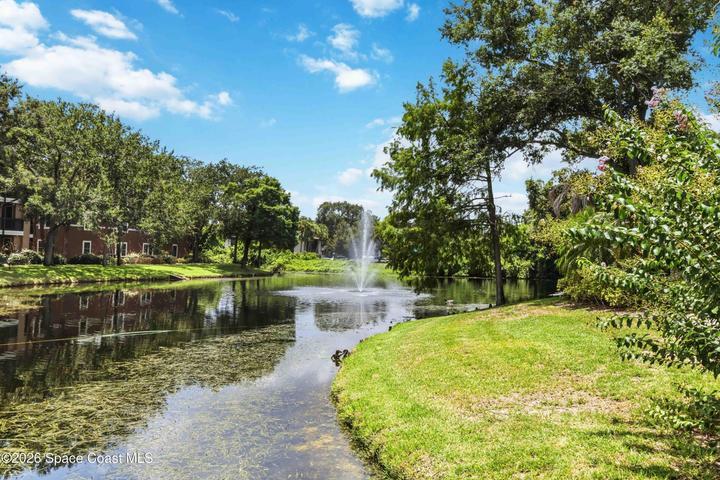 7667 N Wickham Road 519, Melbourne, FL, 32940 photo 17