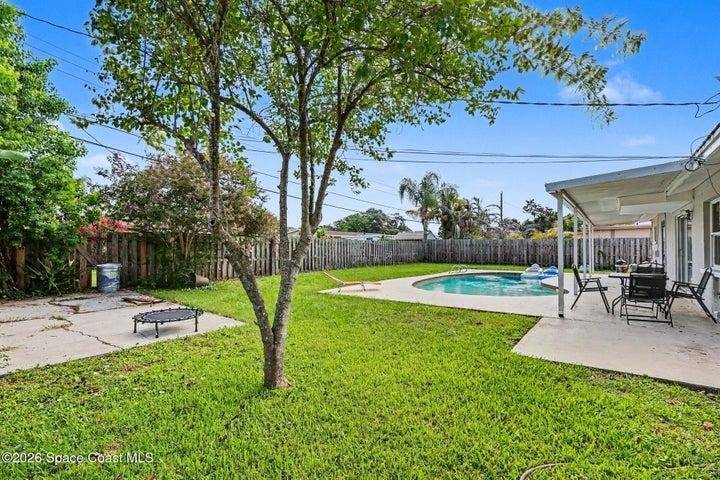 Beautiful Back Yard