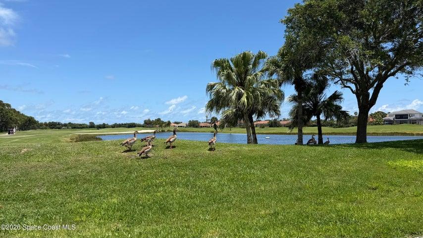 1330 Saint Catherines Circle, Vero Beach, FL, 32967 photo 40