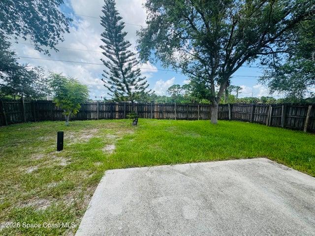 Backyard