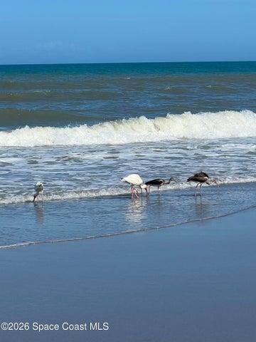 Beach Life