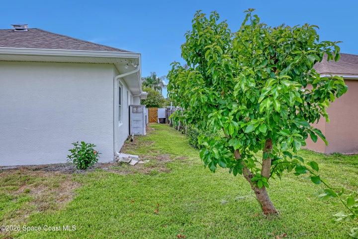 4373 Fletcher Lane, Titusville, FL, 32780 photo 51