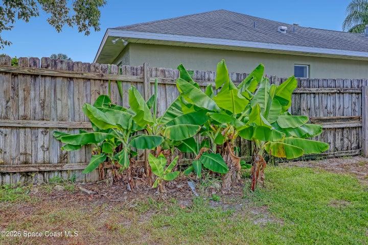 4373 Fletcher Lane, Titusville, FL, 32780 photo 52