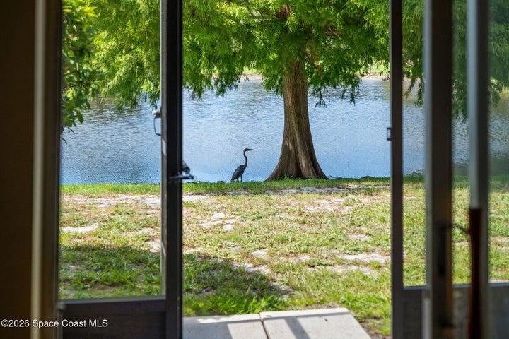 240 Spring Drive 5, Merritt Island, FL, 32953 photo 37