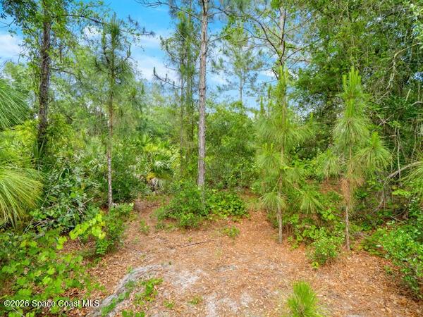 1261 Rainbow Road SE, Palm Bay, FL, 32909 photo 3