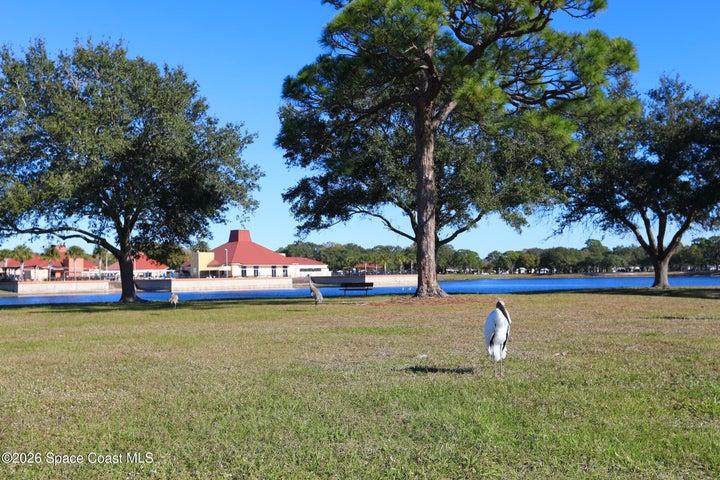 912 Oriole Circle, Barefoot Bay, FL, 32976 photo 20