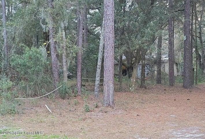 20 Never Bend Drive, Ocala, FL, 34482 photo 4
