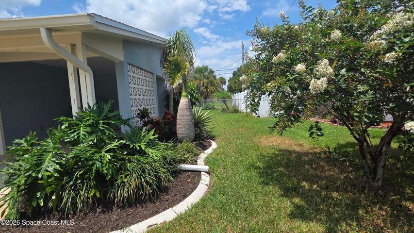 NATIVE FLORIDA FOLIAGE