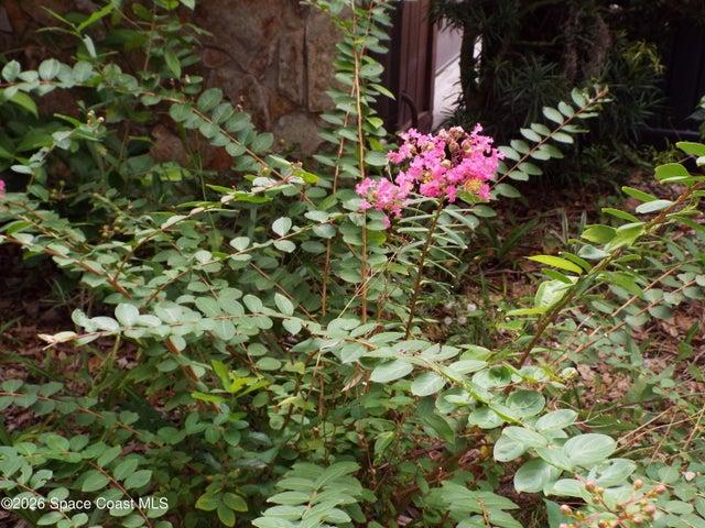 685 Carambola Drive, Merritt Island, FL, 32952 photo 6