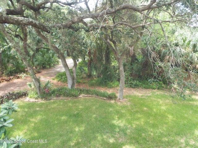 front yard