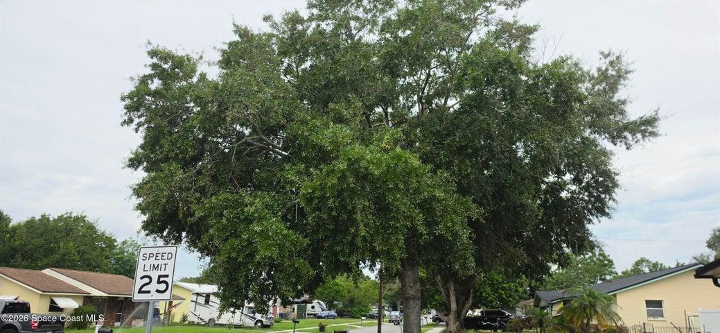 1530 Milton Street, Titusville, FL, 32780 photo 32
