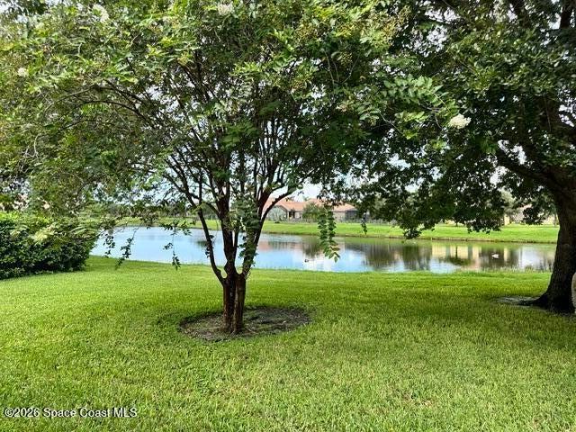 Pond View from back patio