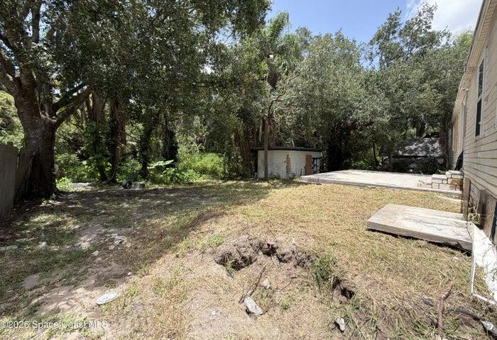 backyard