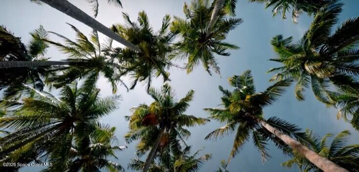 Imagine living in a place where everyday feels like vacation!