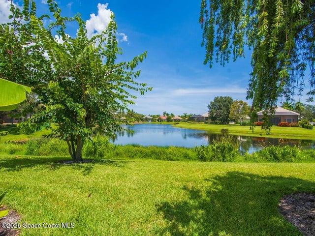Lake view