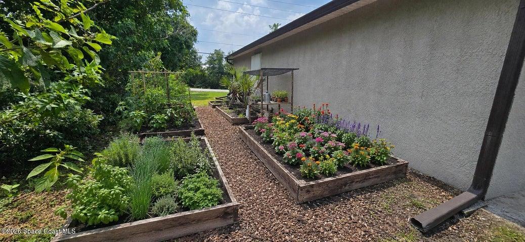 Side garden possibilities. Digitally redesigned.