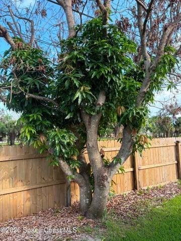 1835 Longleaf Road, Cocoa, FL, 32926 photo 38