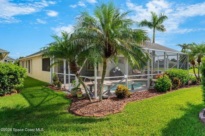 Mature Tropical Landscaping