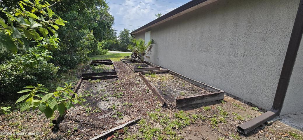 Side yard garden area.