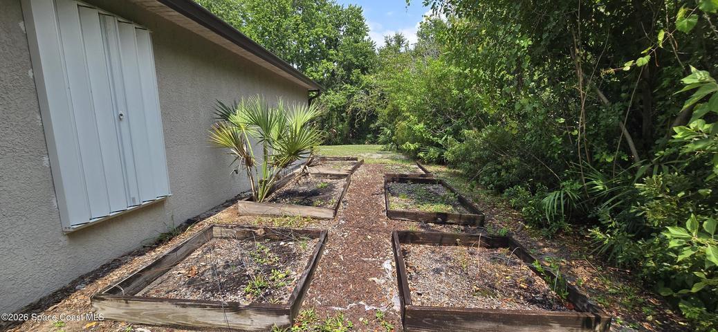 Side yard garden.