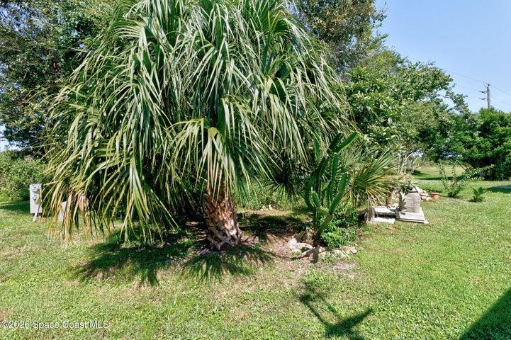 1115 Wren Circle, Barefoot Bay, FL, 32976 photo 21