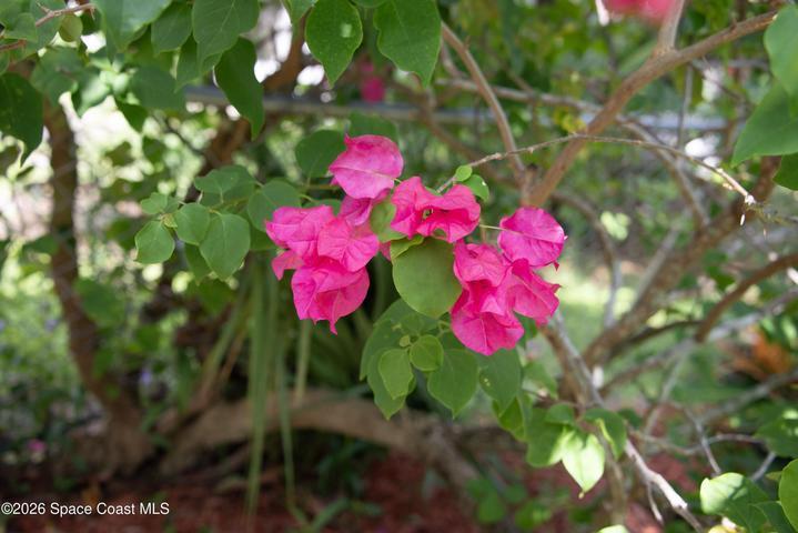 416 Plover Drive, Barefoot Bay, FL, 32976 photo 50