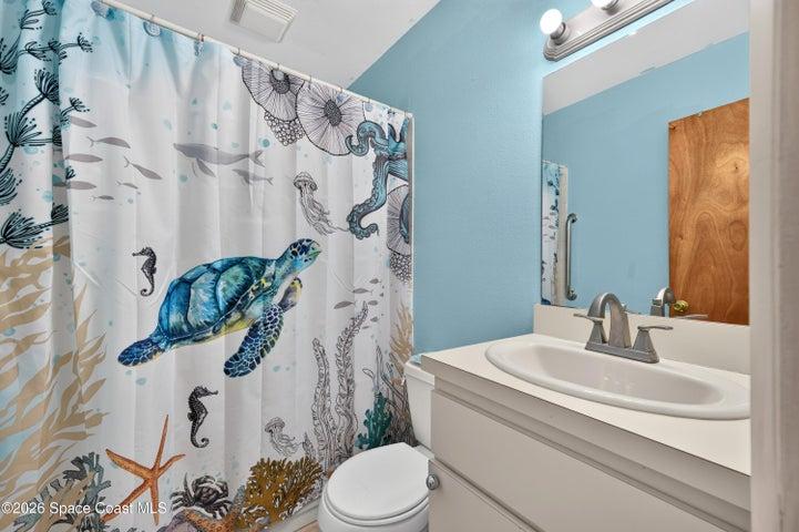 Guest/Hall Bathroom