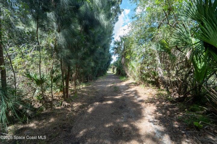 6715 Whispering Pines Lane, Grant, FL, 32949 photo 19