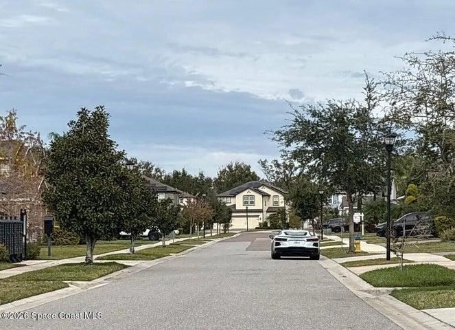 11623 Sweet Tangerine Lane, Tampa, FL, 33629 photo 5
