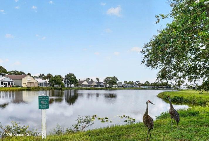 446 Plantation Drive, Titusville, FL, 32780 photo 4