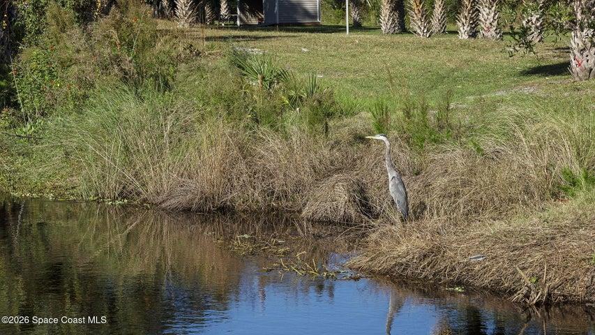 446 Plantation Drive, Titusville, FL, 32780 photo 54