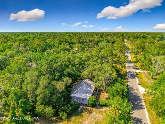 1338 Saint Nicholas Avenue, Christmas, FL, 32709 photo 38