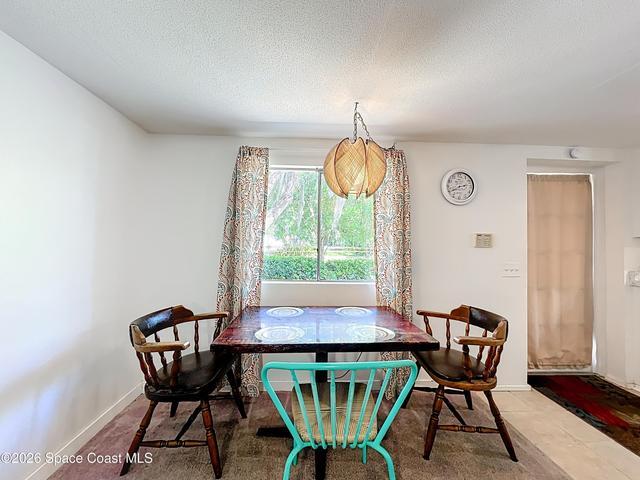 1338 Saint Nicholas Avenue, Christmas, FL, 32709 photo 13