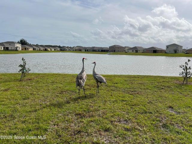 976 Trinity Street, Rockledge, FL, 32955 photo 50