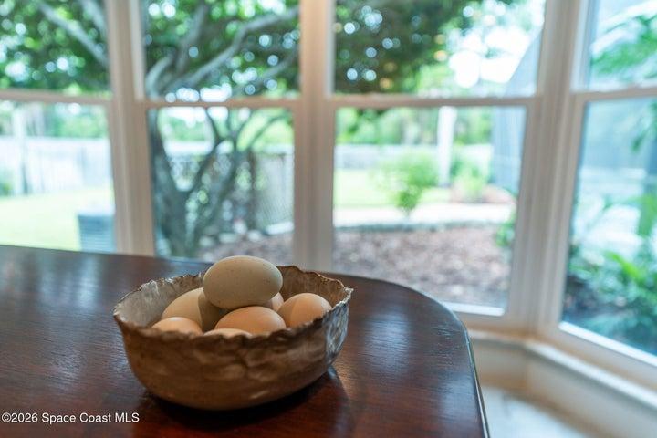 530 Hidden Creek Drive, Merritt Island, FL, 32952 photo 23