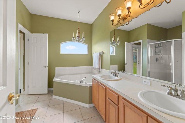 Master Bathroom- downstairs