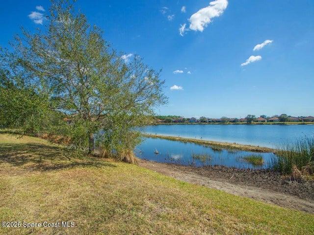 Expansive waterside grounds featuring a mature tree, natural shoreline, and distant residential structures