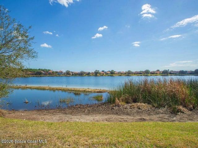 Expansive waterside grounds featuring a mature tree, natural shoreline, and distant residential structures