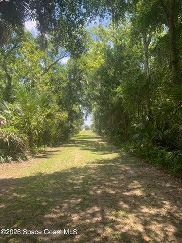 Pathway to river and dock