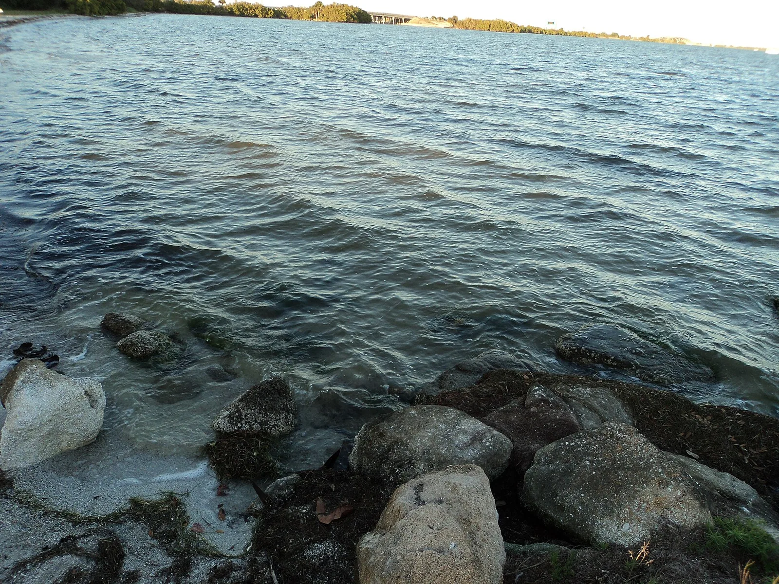 The Banana River shoreline at Kelly Park, Merritt Island