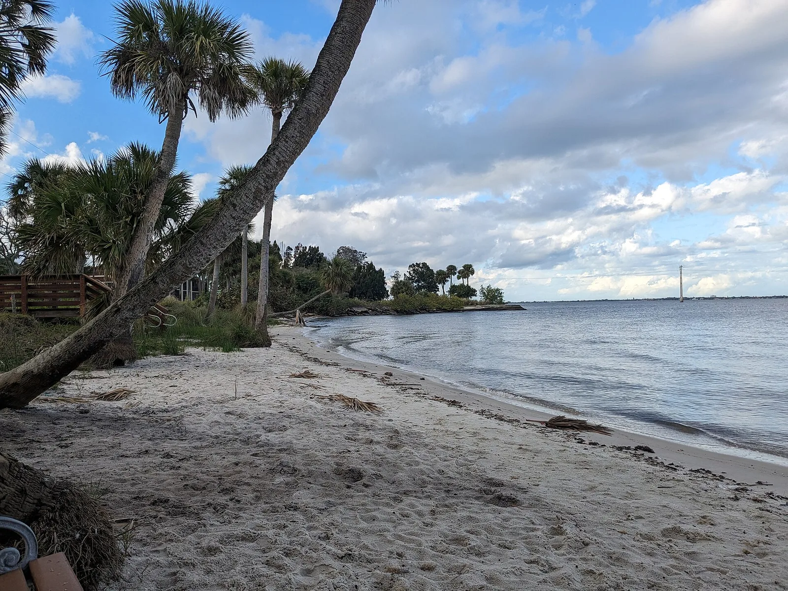 Palms over the Indian River beach at Castaway Point Park, Palm Bay
