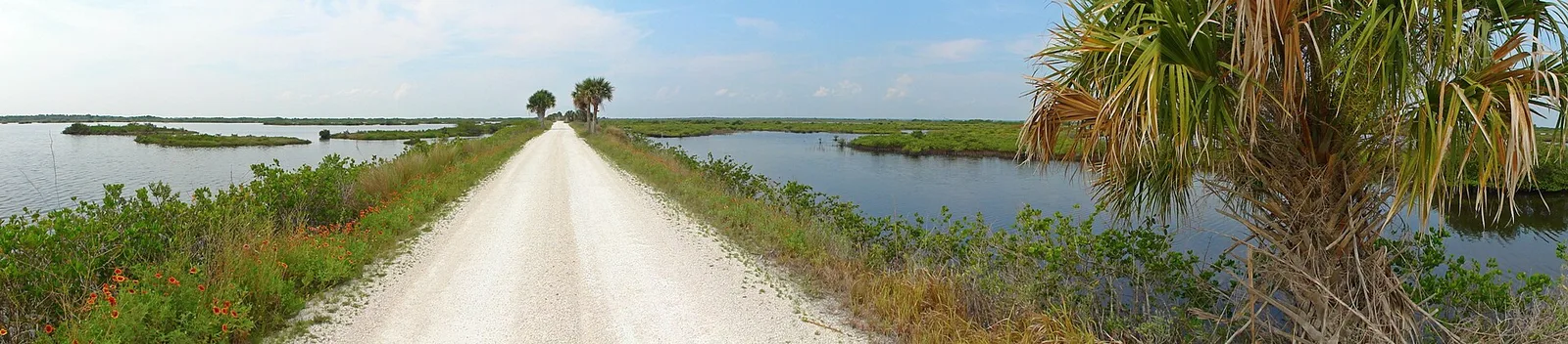 Black Point Wildlife Drive through the marshes near Titusville